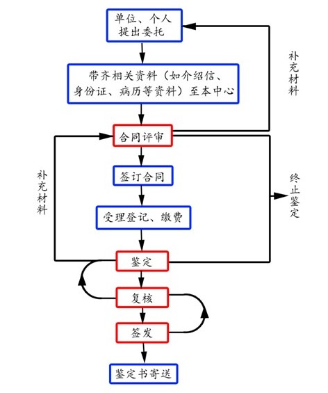 鉴定流程