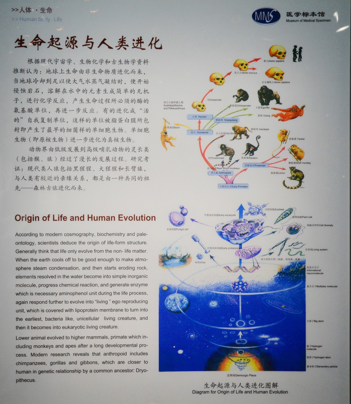 已移除图像。