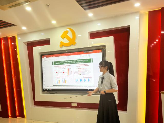 博彩公司排名