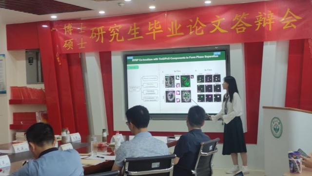 博彩公司排名